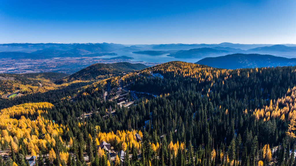 Tamaracks over Schweitzer - 2