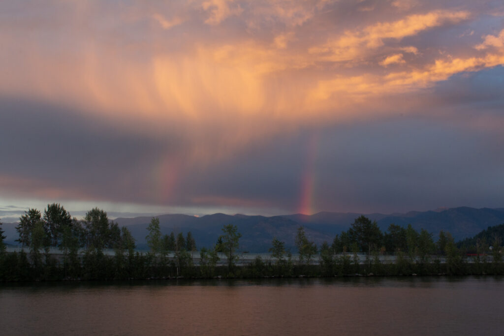 Clouded Rainbow