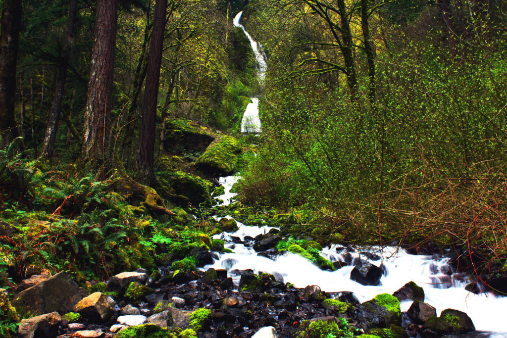 Horsetail Falls