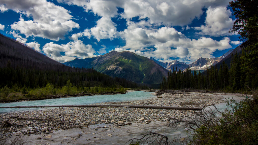 Kootenay River Part 2