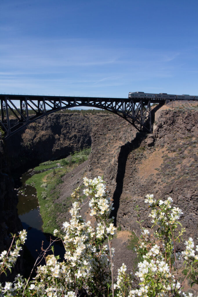 Train and Bridge