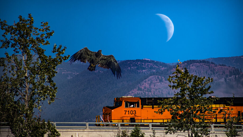 Day Moon with Eagle