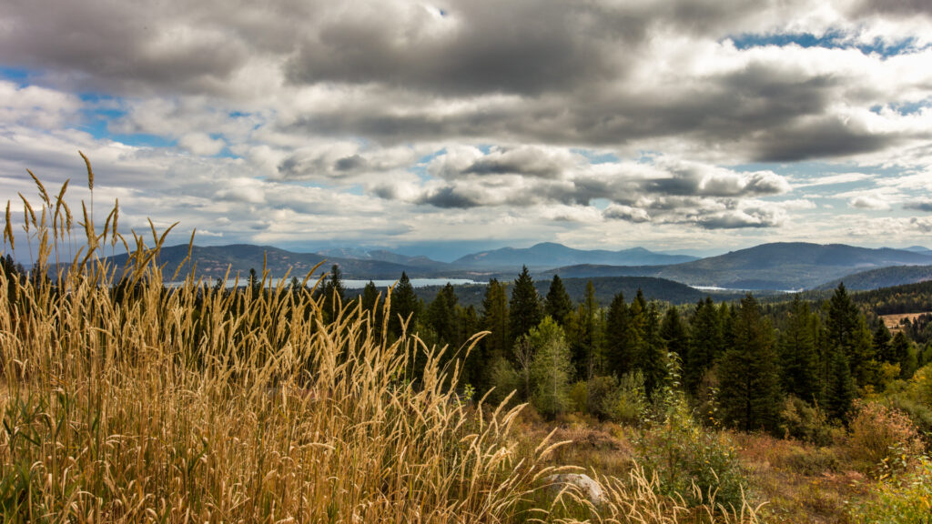 Landscape Fom Baldy