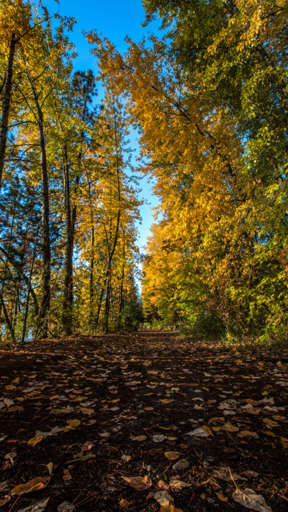 The Trail at Humbird Mill