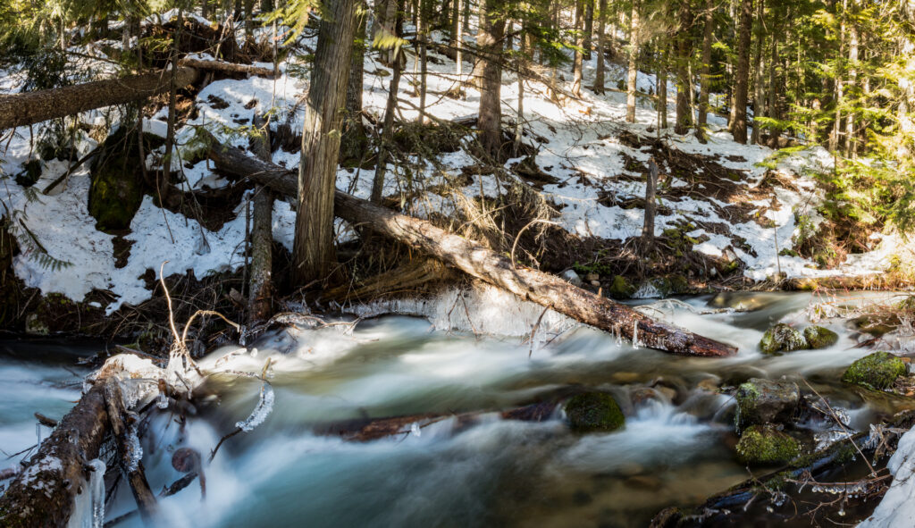 Trout Creek Flow