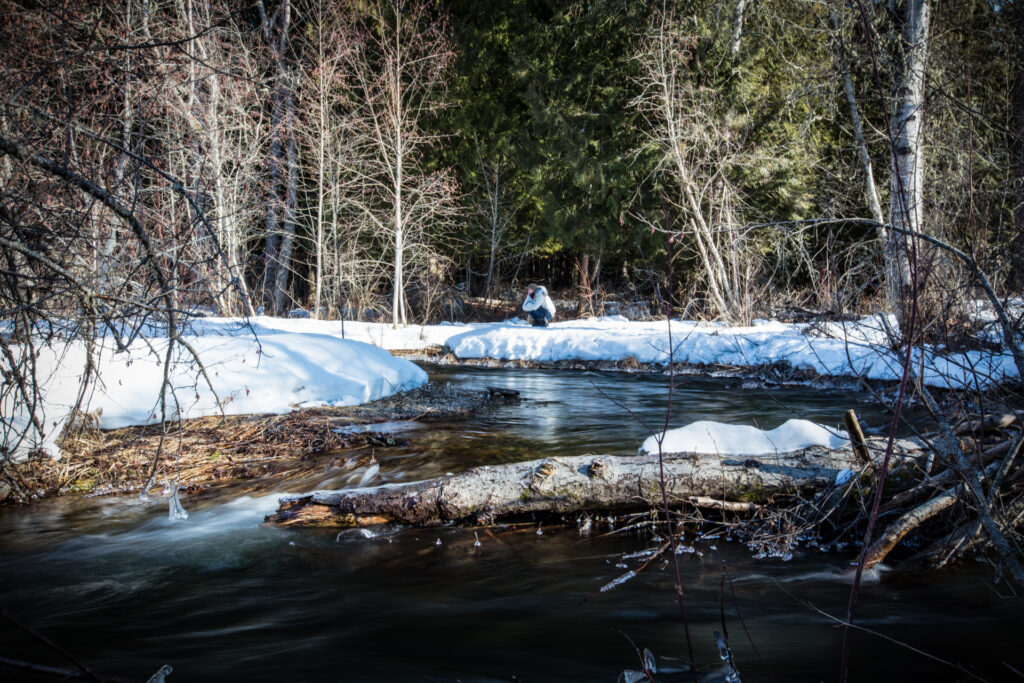 Chillin By the Creek