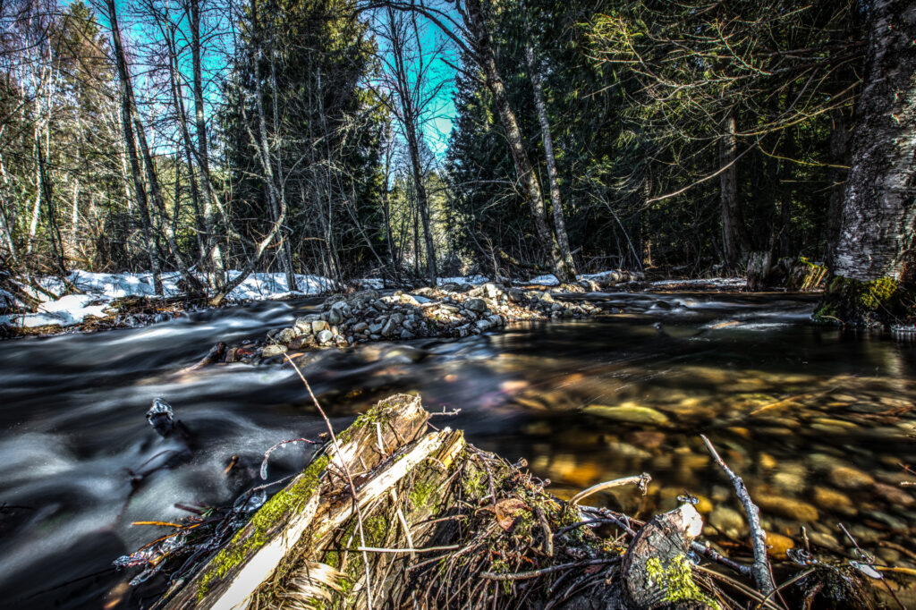 Trout Creek 2-10-18